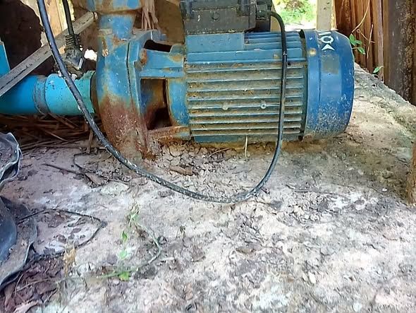 Water Pump