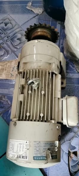 Gear Motor
