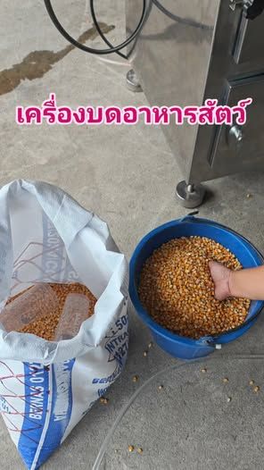 Grain Grinder