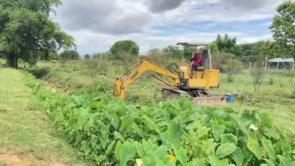 Excavator Yanmar · YB25