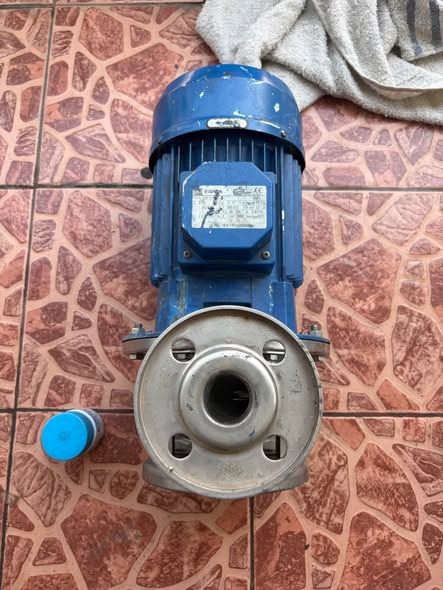 Gear Motor GS