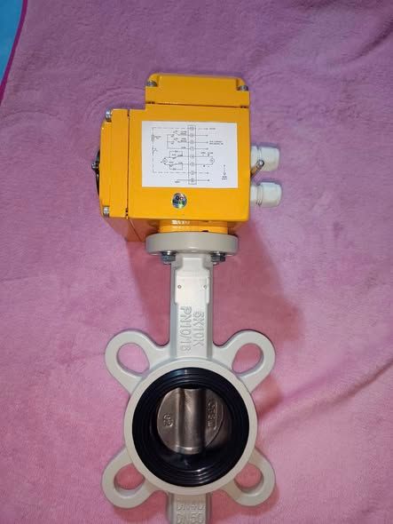 Electric Valve Actuator