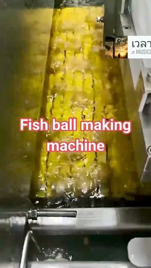 Meatball Forming Machine with Automatic Frying System