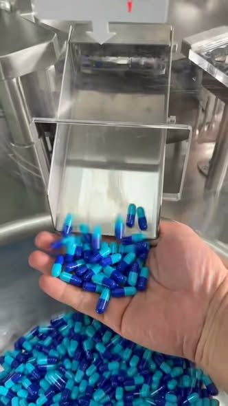 Automatic Capsule Filling Machine GL6