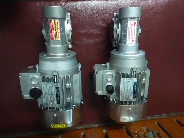 Gear Motor