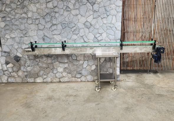 Chain Conveyor