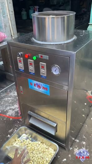 Garlic Peeling Machine