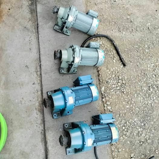 Gear Motor
