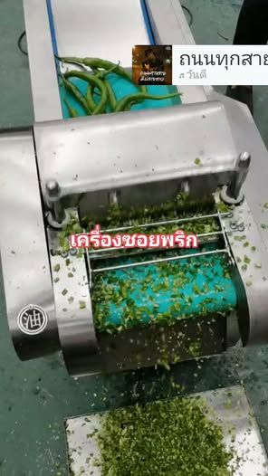Food Slicing Machine