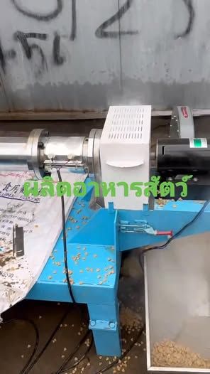 Pet Food Production Machine