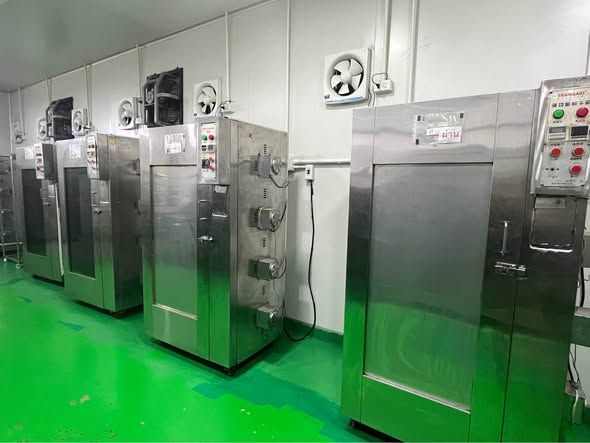 Industrial Dryer (Hot Air Drying Cabinet)