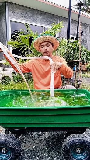 Submersible Pump