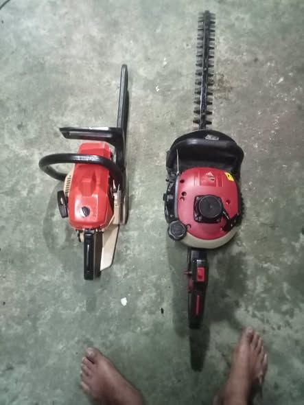 Chainsaw and Pruning Saw 3800