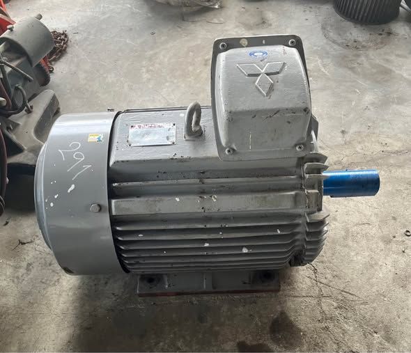 Electric Motor Mitsubishi
