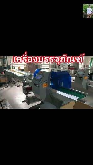 Automatic Weighing and Packaging Machine
