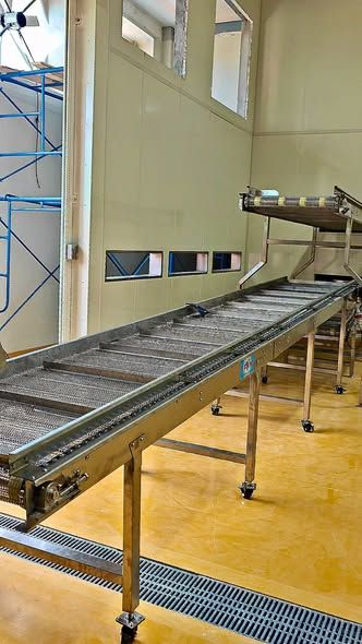Belt Conveyor for Meatballs