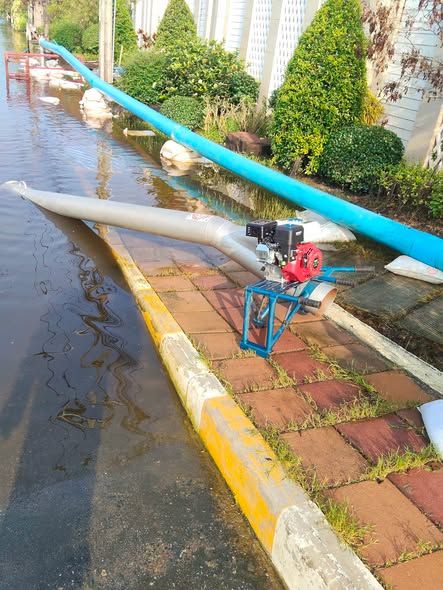 Axial Flow Pump